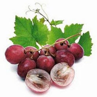 Dầu Hạt nho - Grape seed oil (100ml)
