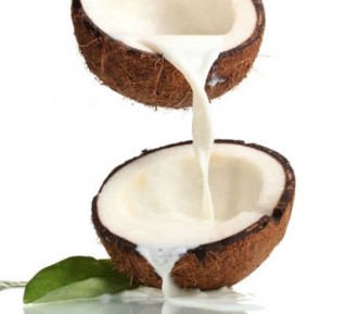 Hương dừa tự nhiên (Nature Coconut Fr.o)